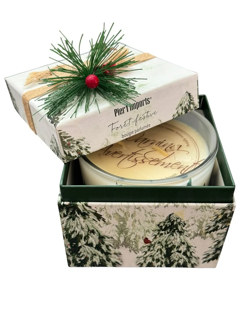 Pier 1 Imports Holiday Forest 2 Wick Scented Christmas Candle 11oz NEW In Box